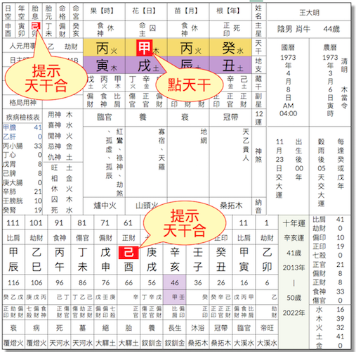 輔助功能天干合